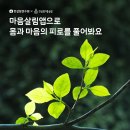 한살림 마음살림앱 이벤트 한대요!