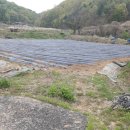 대소원면사무소 이미지