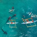 스타일투어 | [스타일투어]세부 남부투어 후기 🐋고래상어부터 바다거북, 정어리떼, 캐녀닝까지! 처음이라면 꼭 확인...
