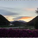 뮤즈세움 이미지