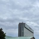 덕인인터내셔널 | 삿포로 골프여행 - 4일차(기타히로시마GC, 오니츠카타이거, 칼디팜, 다이마루백화점, 이자카야 로바다야...