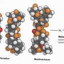 건강한 우리약국 이미지