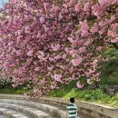 늘푸른충전소 이미지