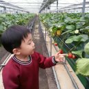 문식농장 이미지