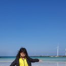 CU남지유채점 | 올레 20코스