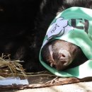 곰두마리농장 이미지