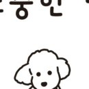소중한댕