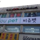 숭민 권투 체육관 이미지