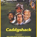 버디골프스쿨 이미지