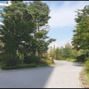 마곡7 미래꿈어린이집 이미지