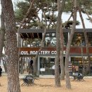 춘천 카페 추천, 소울로스터리 서울 근교 소양강 소나무 숲 대형카페