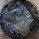 수원-0482 이미지