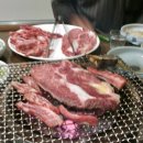 가단암소정