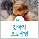 오주동물병원 이미지