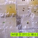 햇빛반찬 이미지