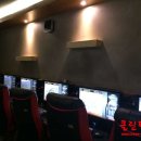 플레이딕 이미지