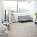 홍경태동물병원 이미지