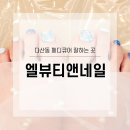 엘뷰티앤네일