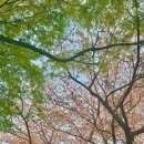 달구지공업사