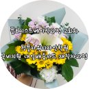 청플라워디자인학원