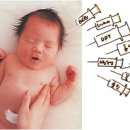 소아예방 기본접종 및 예방접종 이미지