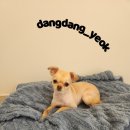 축복미용실 이미지
