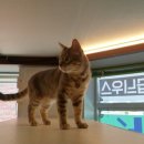 호텔 코코 이미지