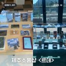 신항로 | 제주 서귀포 인생 소품샵 찾았다! 산방산 근처 소품샵 르데
