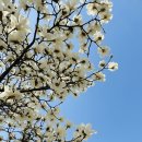 한들파크모텔 이미지