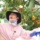 유청농장 이미지