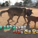 삼장초등학교 이미지