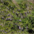 빵쟁이네 이미지