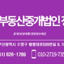 황령대로 509번길 이미지