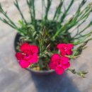 장백농장 이미지