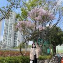 아이맘-s산후조리원 이미지