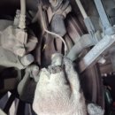 로드제이모터스 이미지