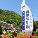 청향소림산장 이미지