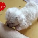 뜯어뜯어
