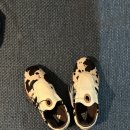 W태권도 이미지