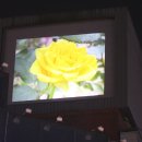 비젼미디어 - 성남시 분당구 | 비젼미디어