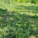 역골중앙로41번길 이미지