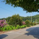 지장마을회관 이미지