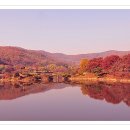 희원 이미지