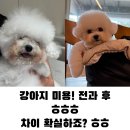 프랑소와펫 신세계대전점 이미지