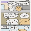 매듭 이미지