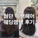 세빈 | 광주 어맥헤어프로젝트, 첨단 미용실 웨딩염색 후기 (ft.세빈 부원장님)