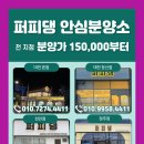 퍼피댕 강아지분양 안심분양소 청주점 말티푸미니비숑토이푸들 이미지