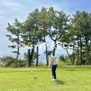 중문골프장CC | 중문 cc 예약 가격 후기 ⛳️ 제주도 골프장 가성비 골린이 추천!