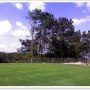 ABC 골프 이미지