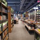 신영진열